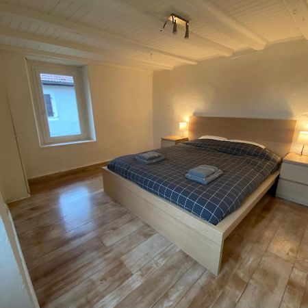 Maison T3 Cosy A 2 Minutes De Geneve Collonges-sous-Saleve 外观 照片